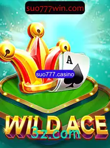 WildAce: Uma Aventura Empolgante no Mundo dos Cassinos